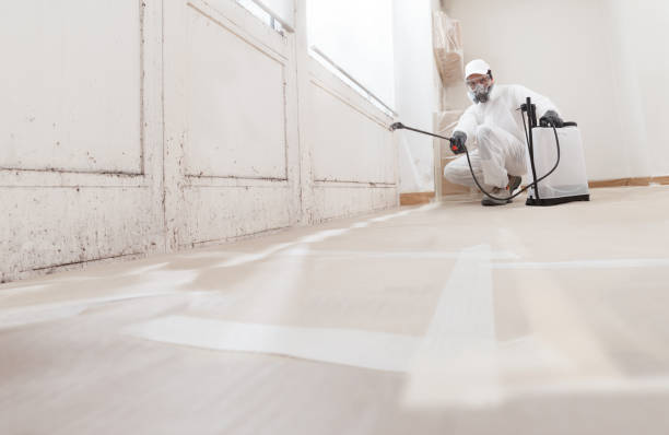 24/7 Emergency Mold Remediation experts in Bloomington, IL